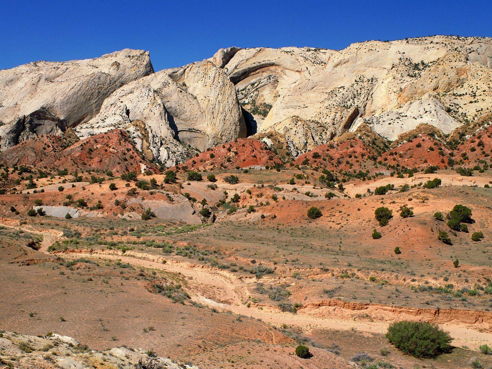 Nature: The Waterpocket Fold, Capitol Reef National Park, Utah