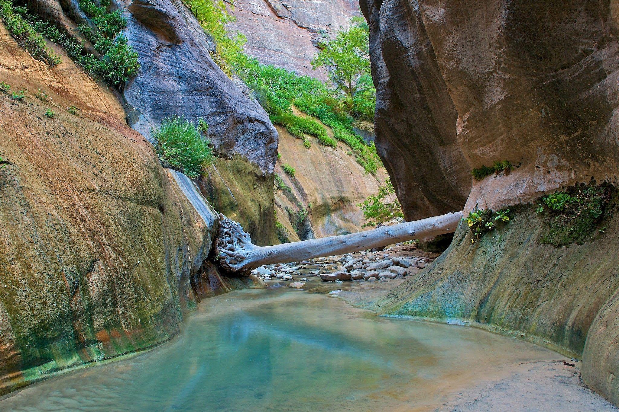 landscape, Nature, Zion National Park Wallpapers HD / Desktop and