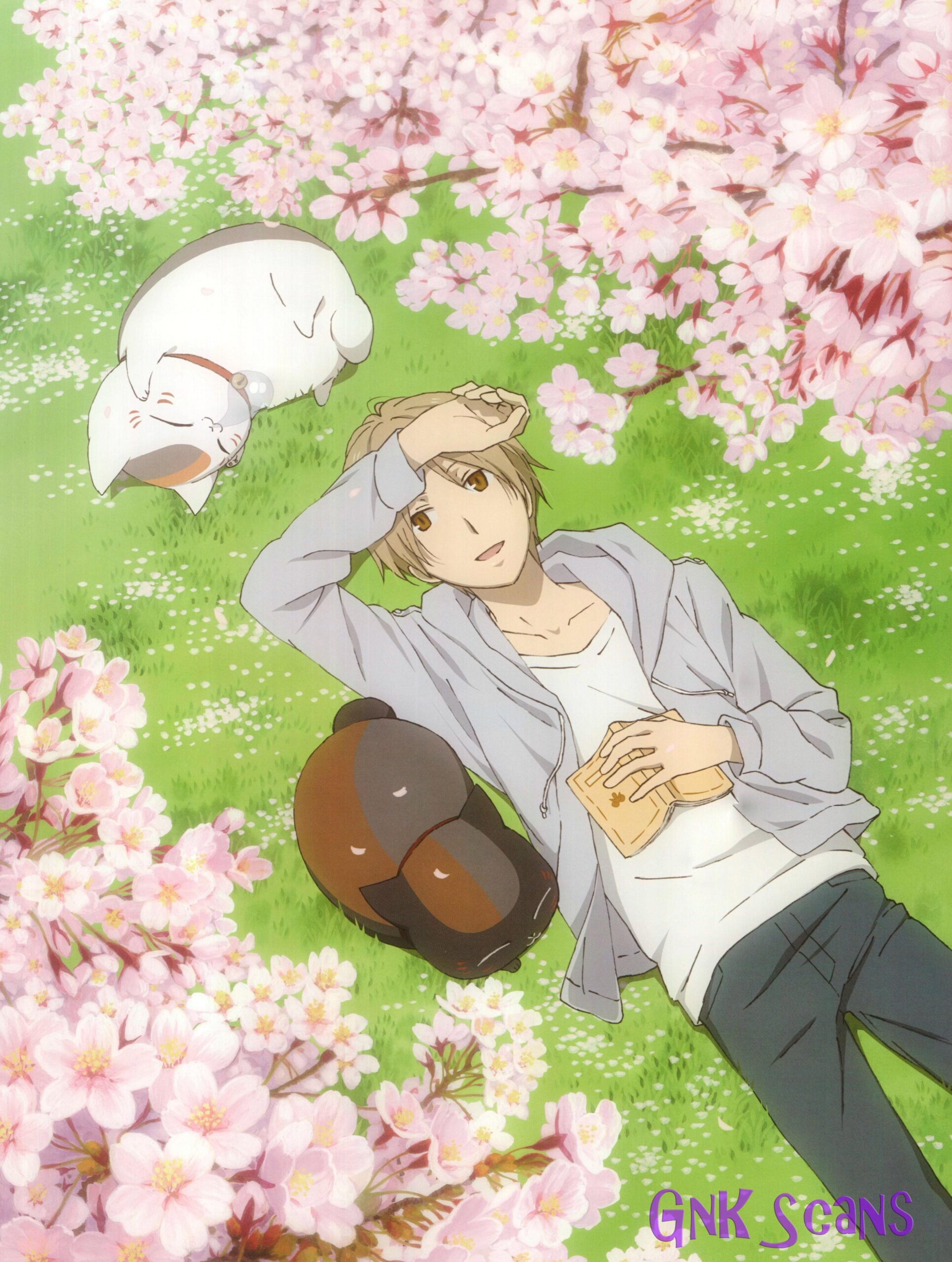 Male anime character digital wallpaper, Natsume Book of Friends