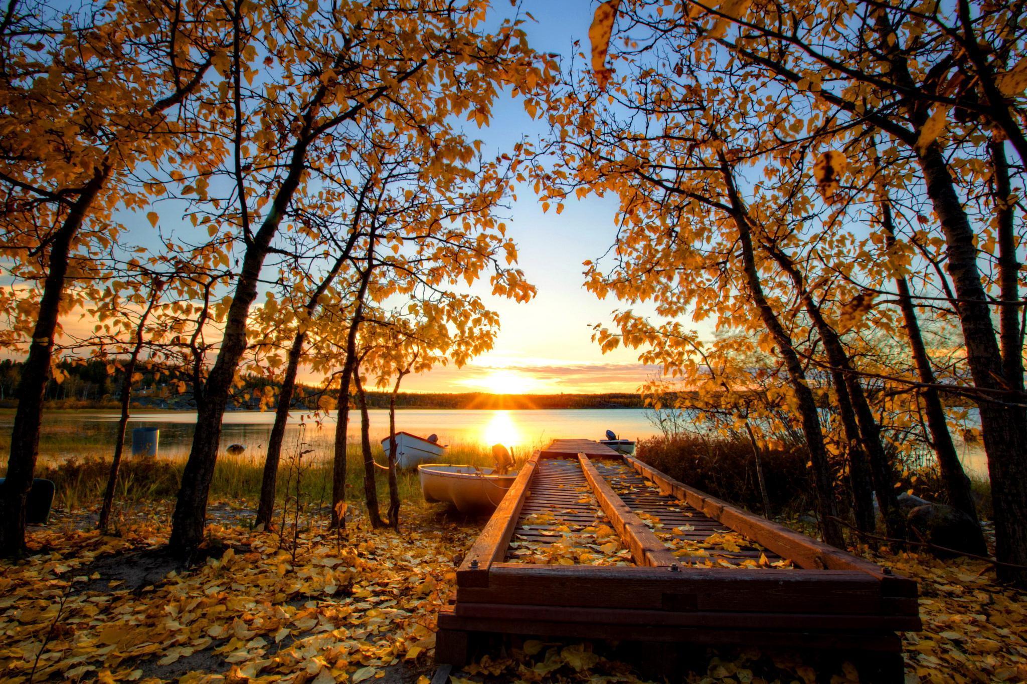 Autumn Sun Over The Riverbank HD desktop wallpapers : Widescreen