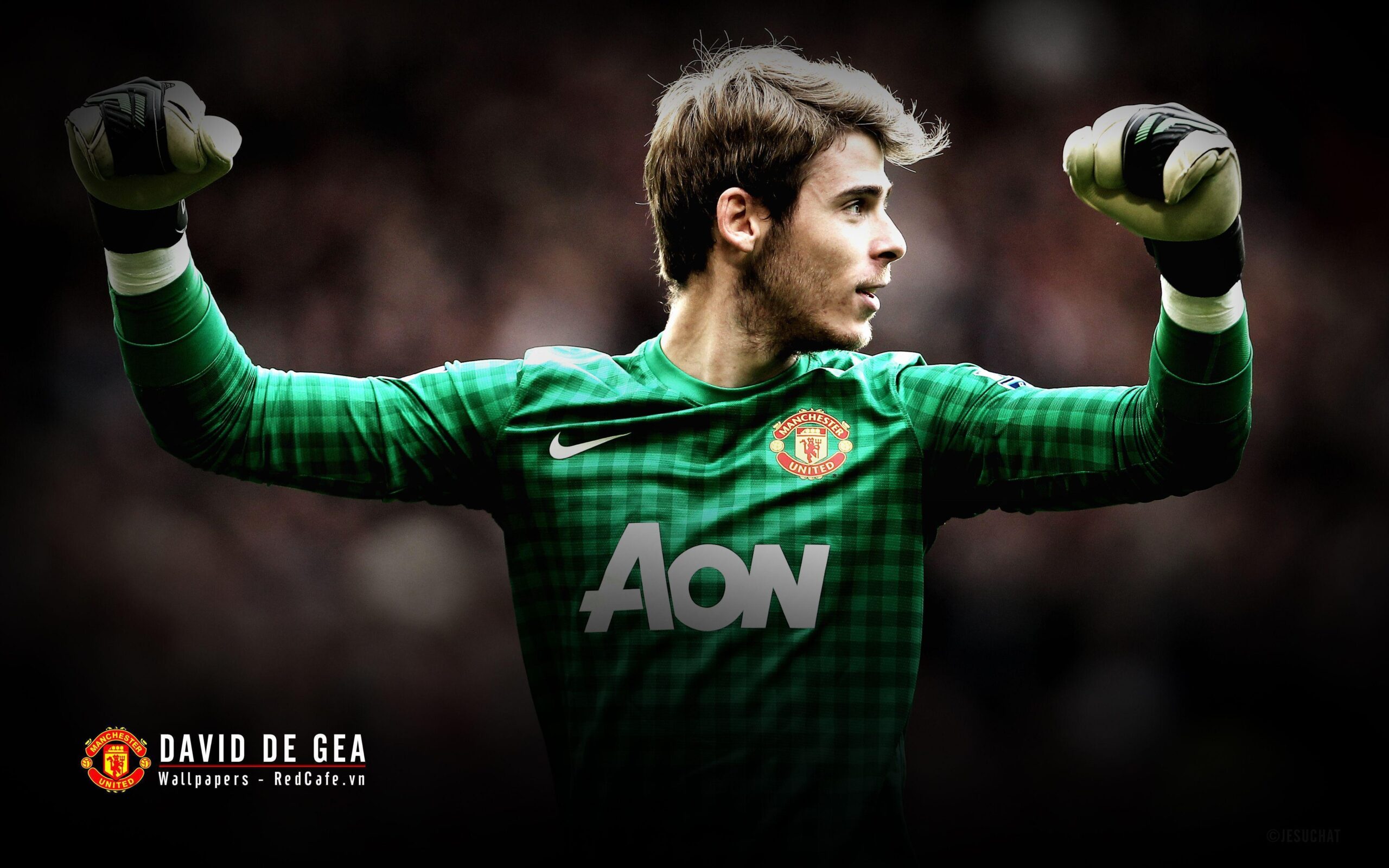 David De Gea