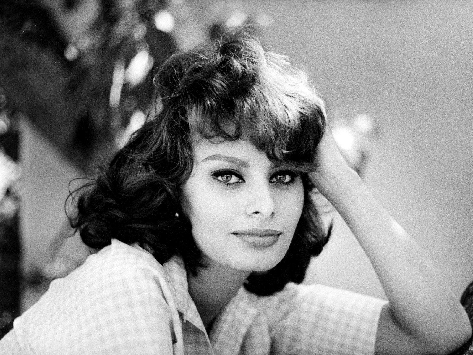 Sophia Loren