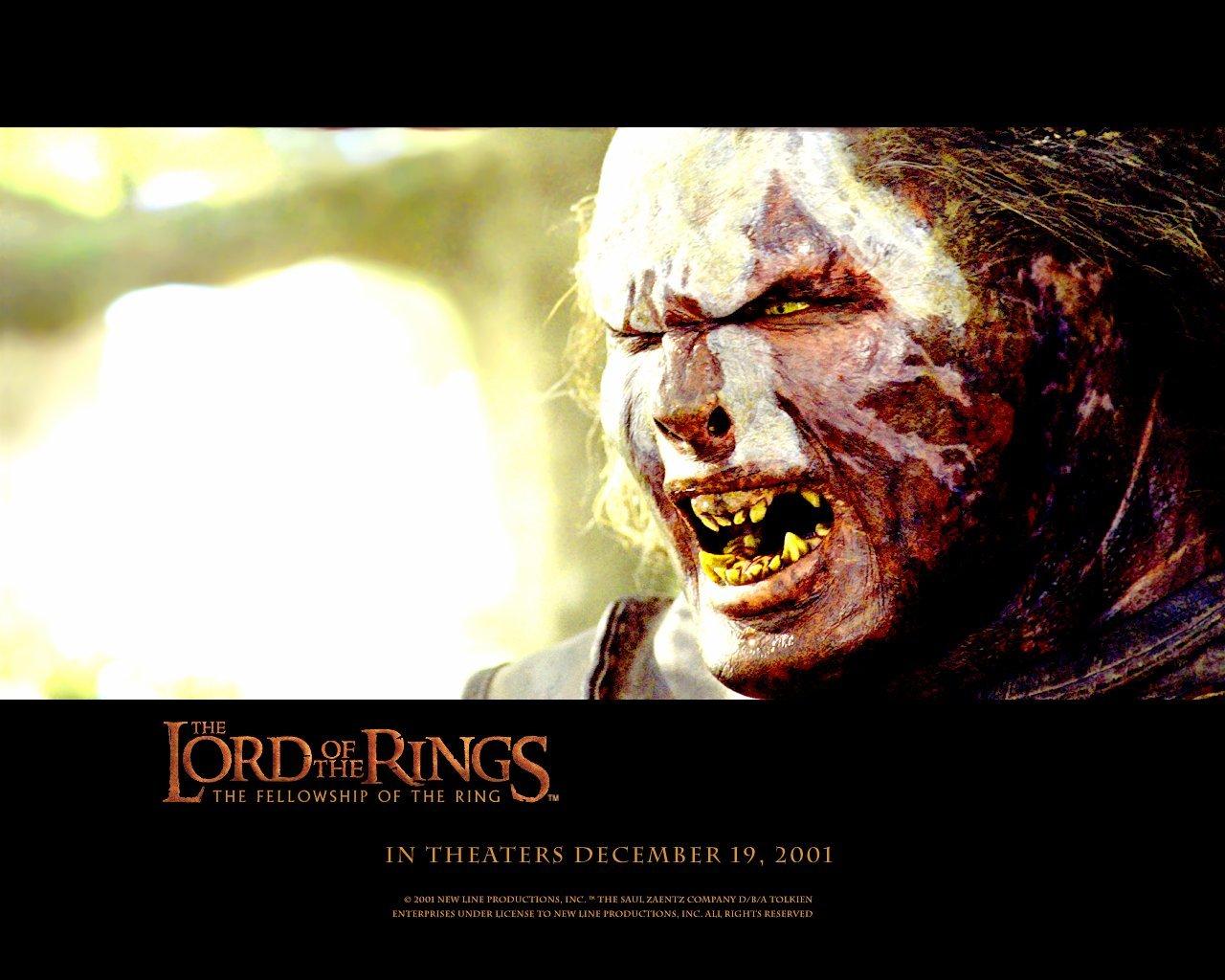 The Lord Of The Rings: The Fellowship Of The Ring wallpapers