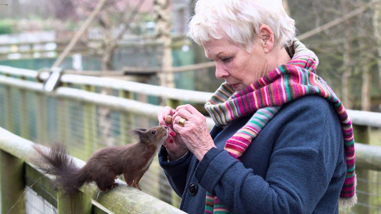 Dame Judi Dench meets Surrey Life magazine