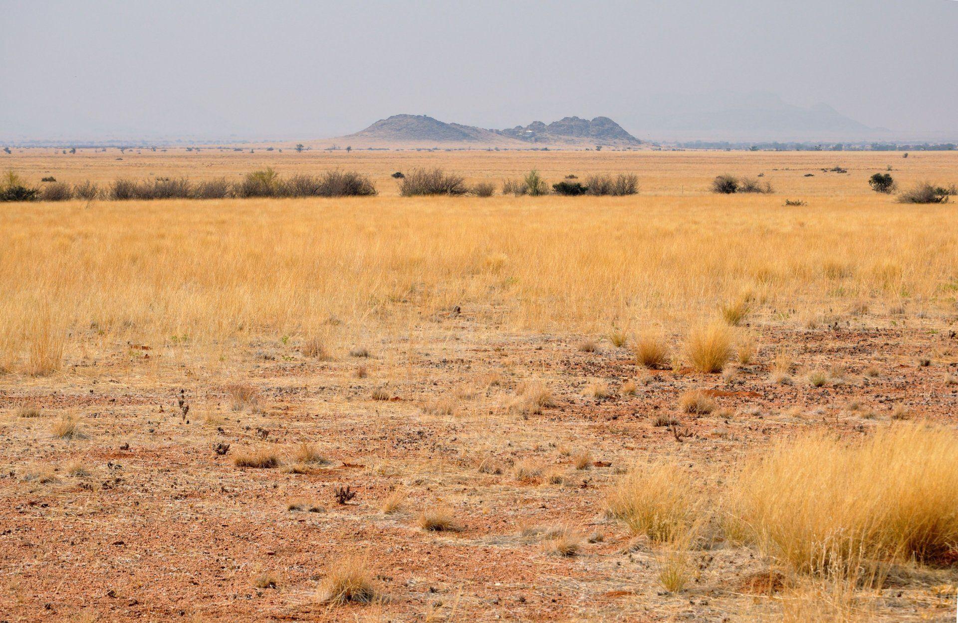 africa south africa namibia landscape desert savannah HD wallpapers