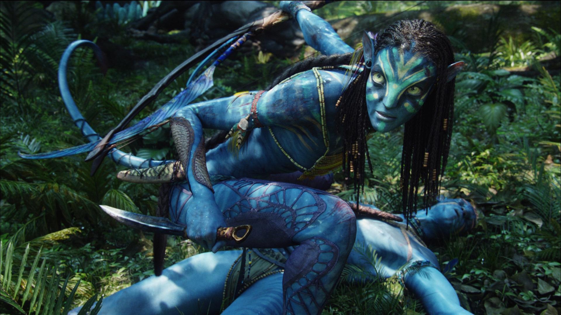 Original Avatar HD Wallpapers for All Avatar Wallpapers Fans Movie