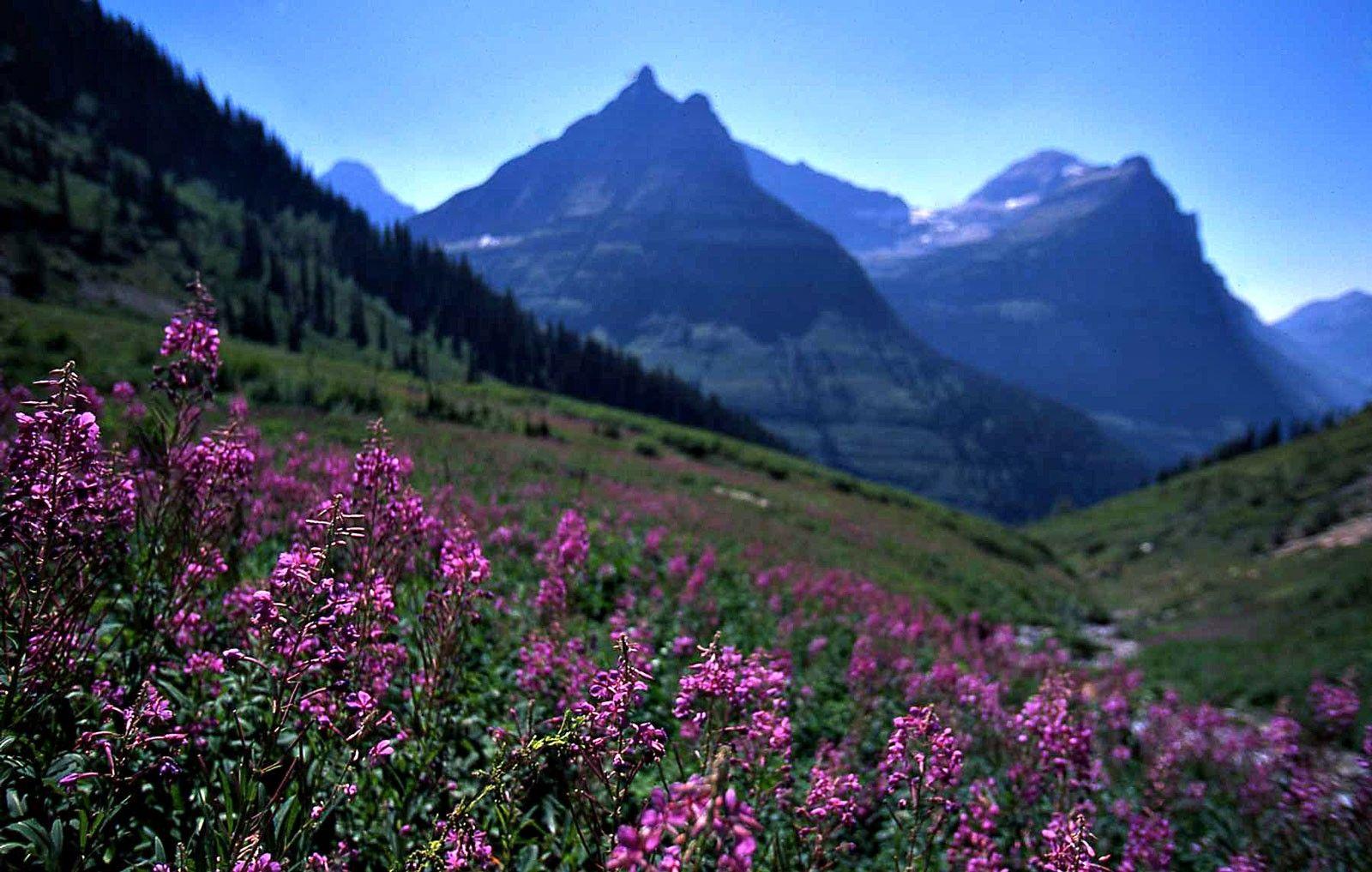 Glacier Tag wallpapers: Landscape Usa Mountains National Montana