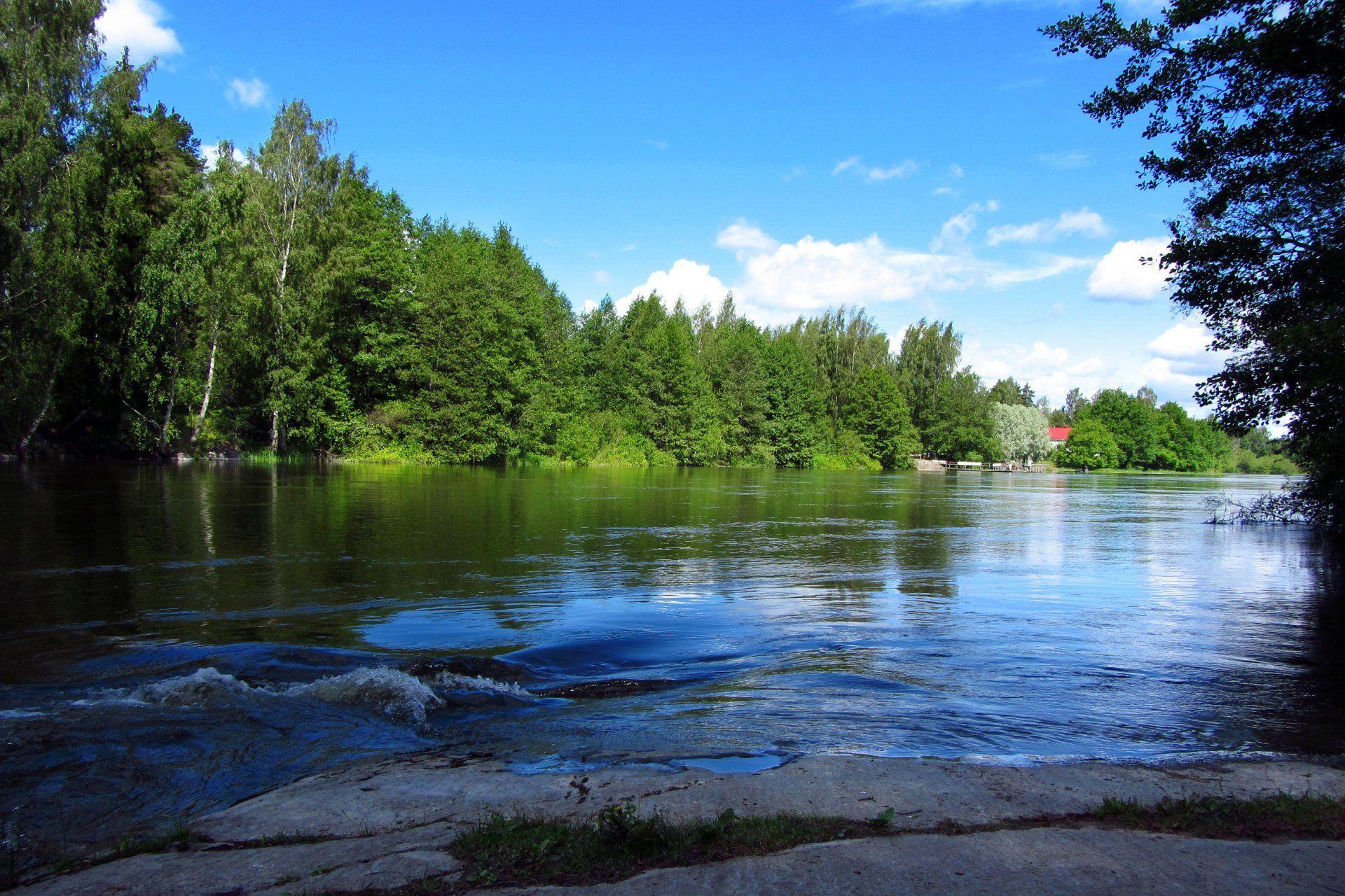 langinkoski finland finland river forest tree sky clouds stones