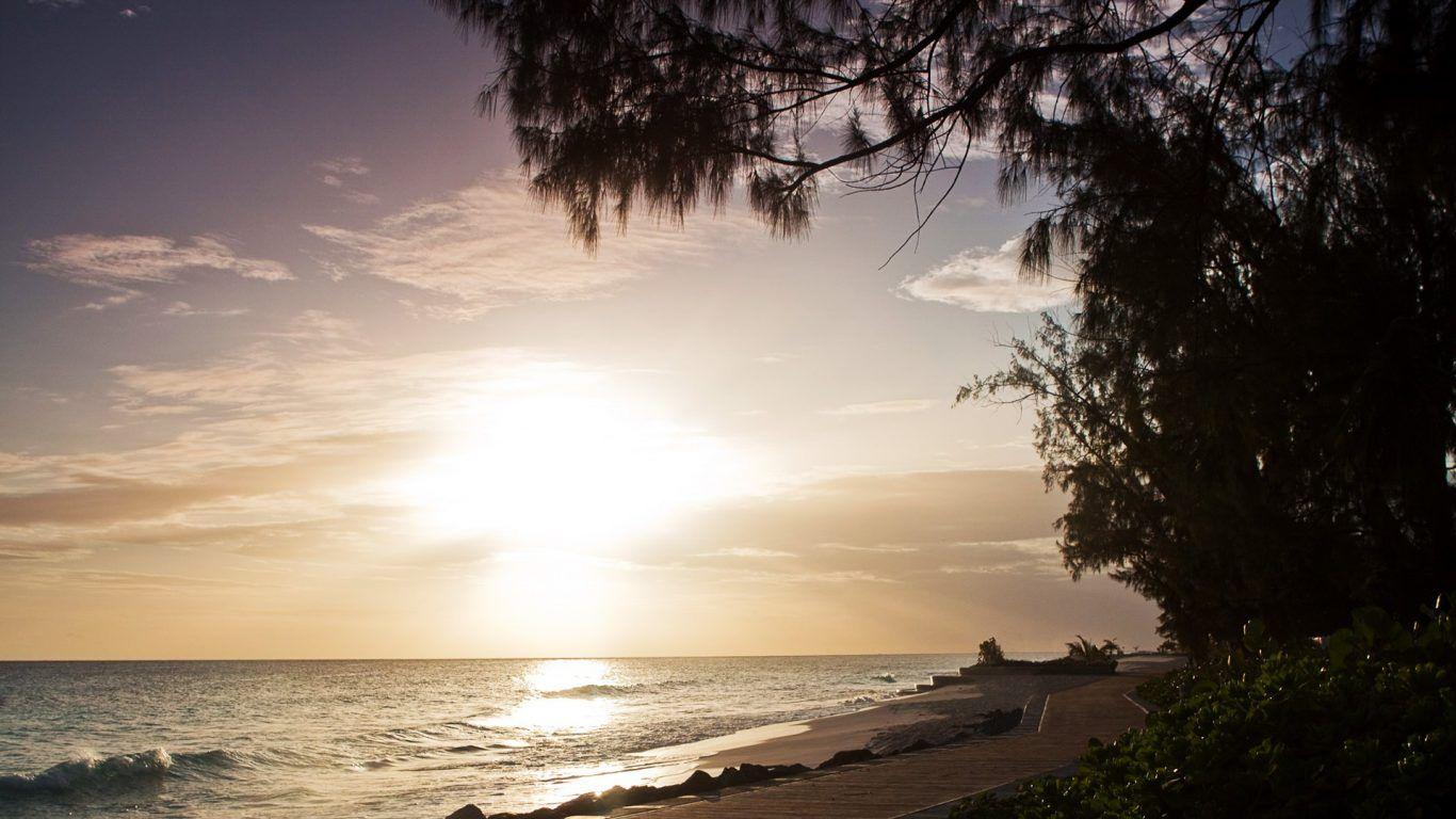 Beaches: Nuku Vavau Tonga Ocean Paradise Island Green Palms Beach