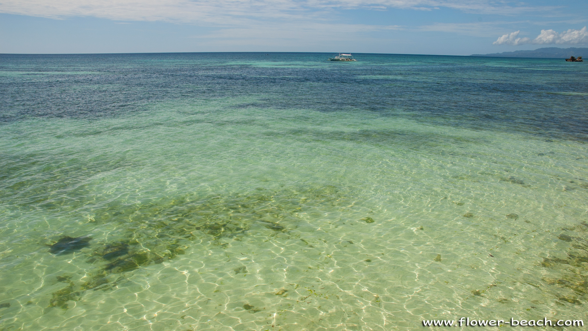 Howdy? Wallpapers from FloWer Beach