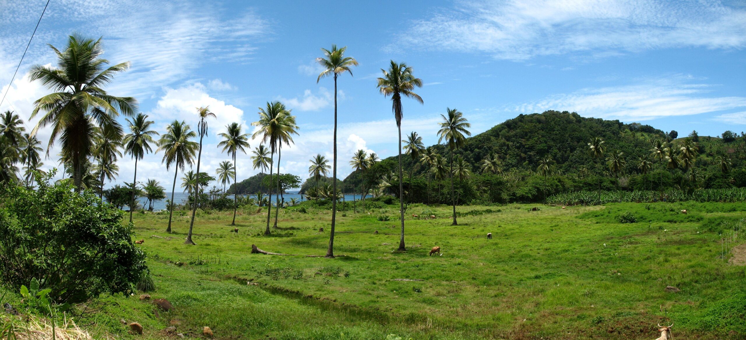 Exploring Nicaragua