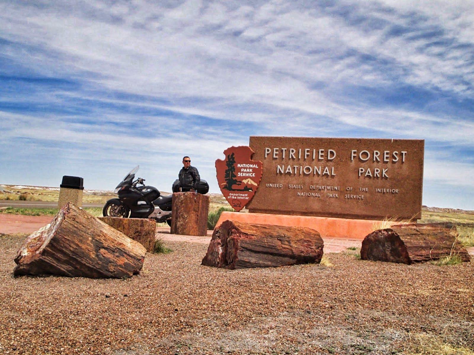 Petrified Forest National Park by Motorcycle, Day 5 ~ Motorcycle