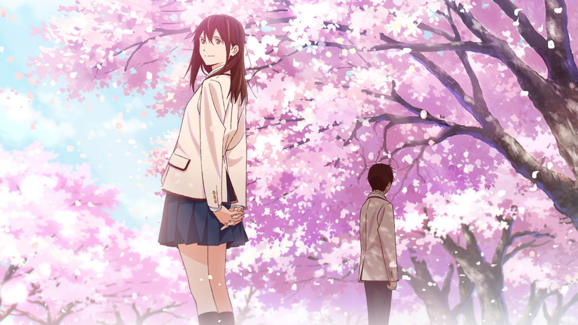 I Want To Eat Your Pancreas Review