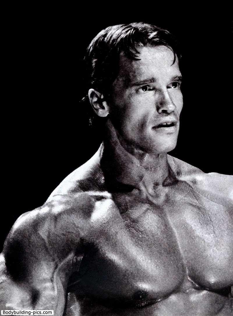 Arnold Hd Wallpapers