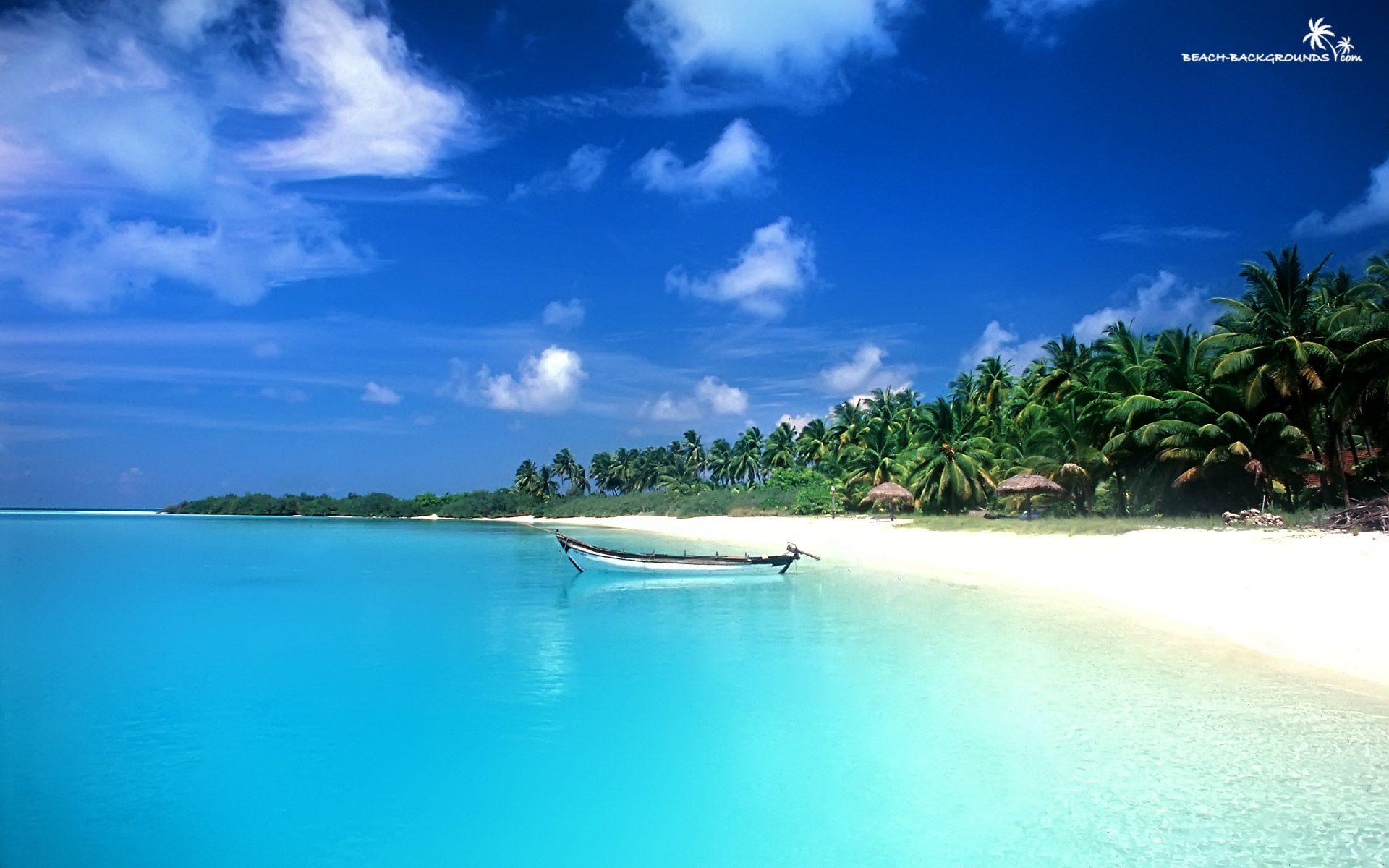 Tropical Beach Wallpapers