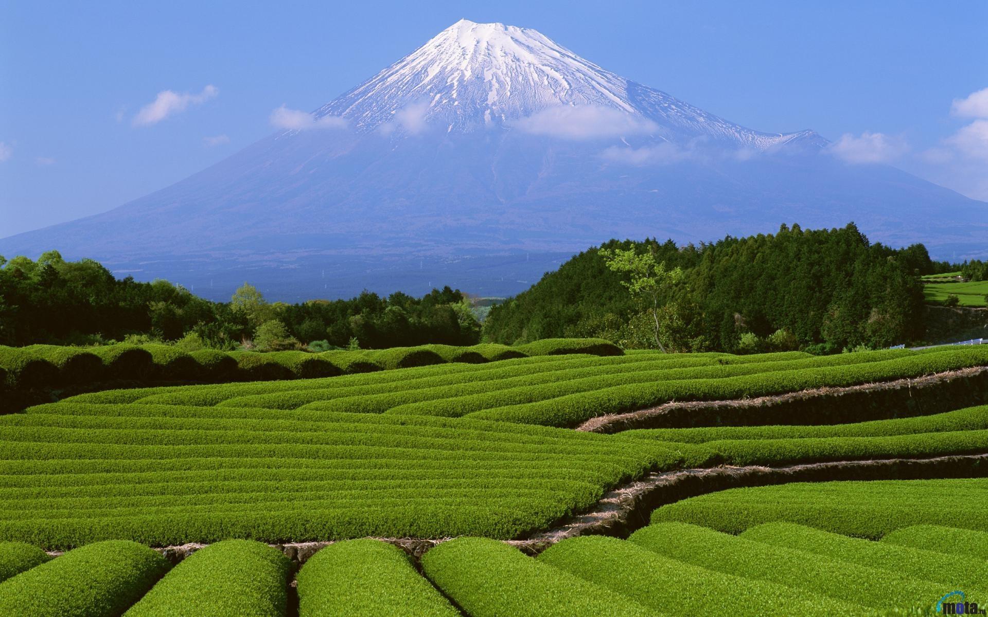 Mount fuji backgrounds wallpapers