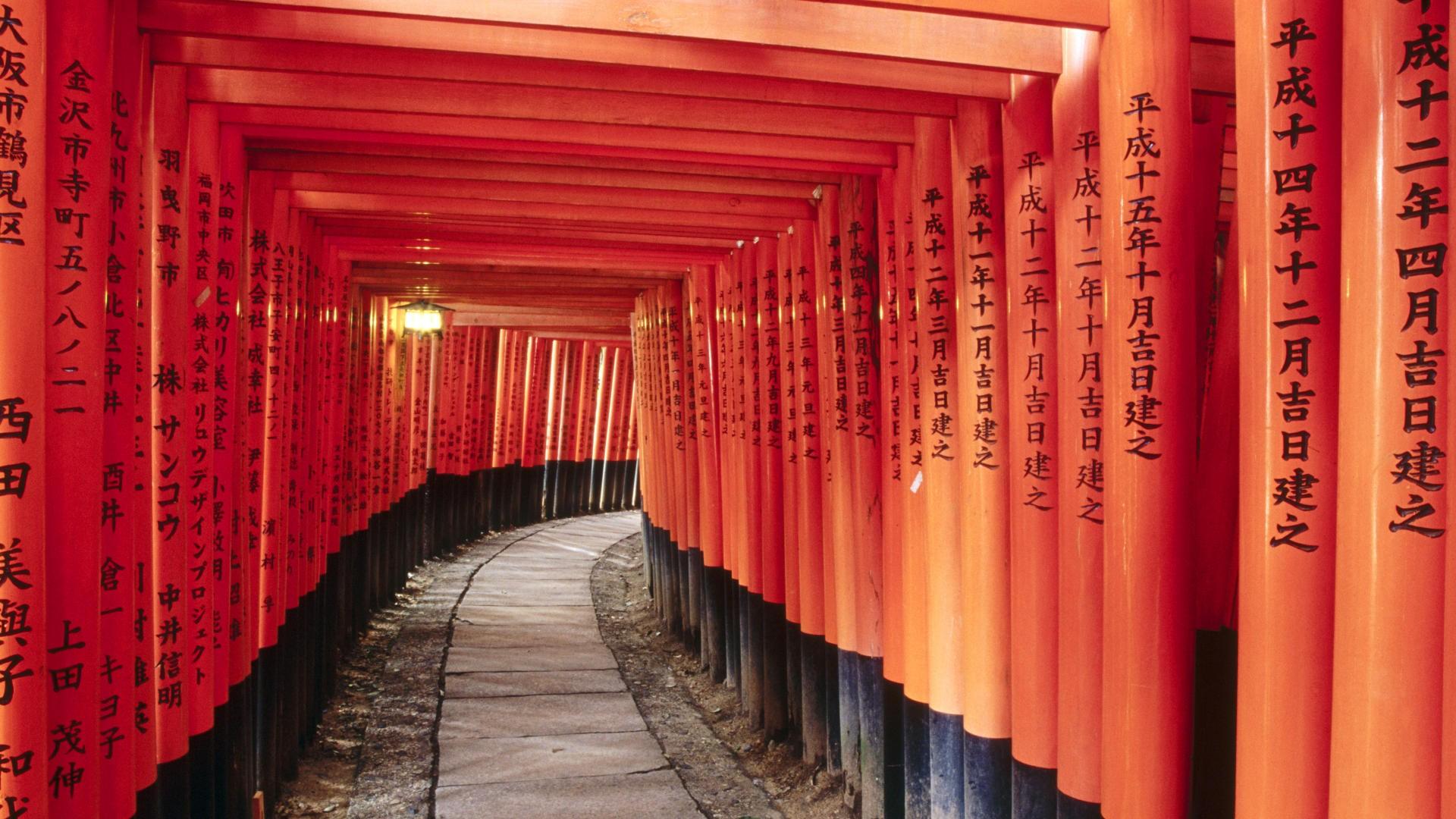 Torii Gates, Kyoto, Japan