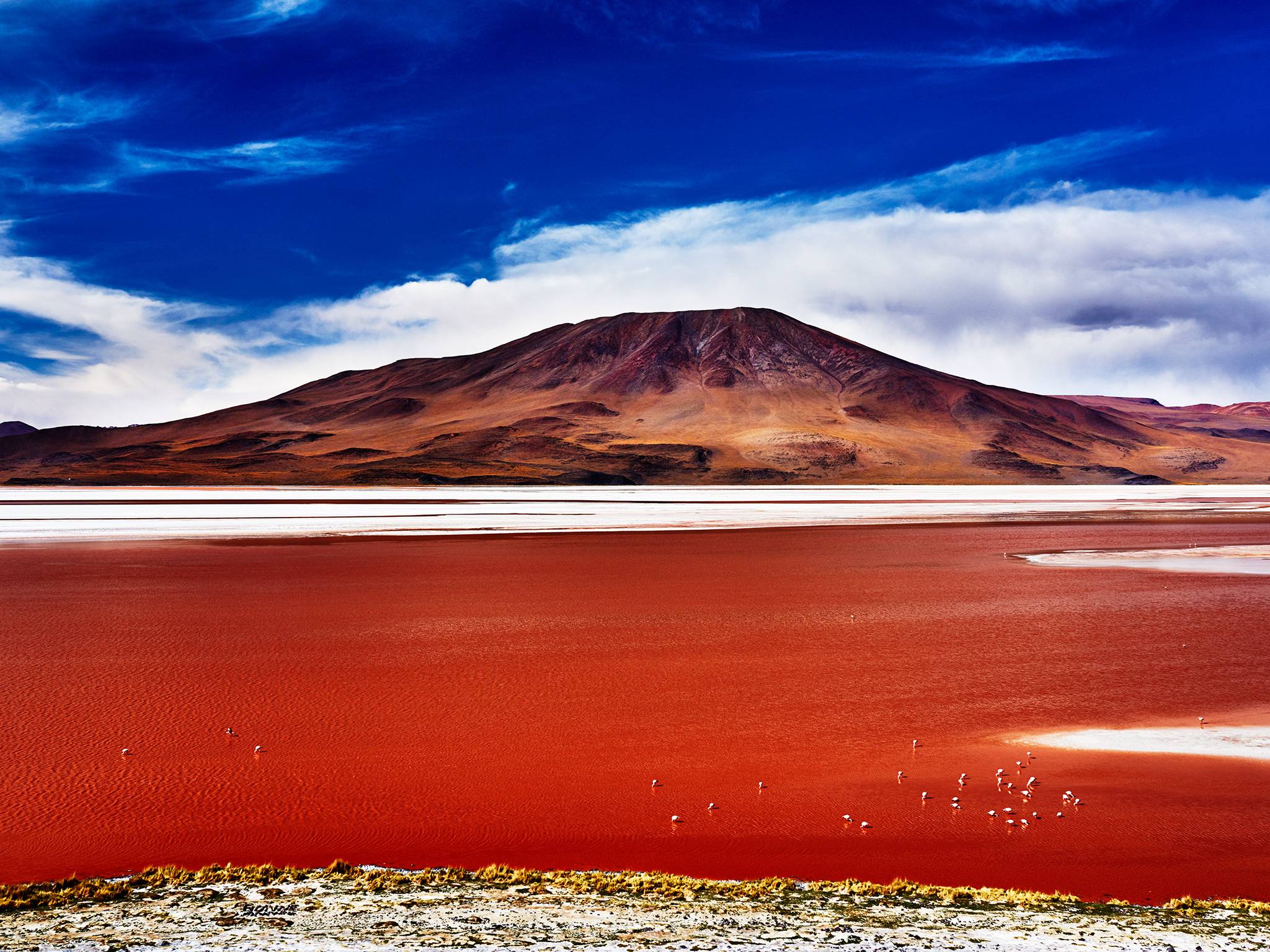 Laguna Colorada