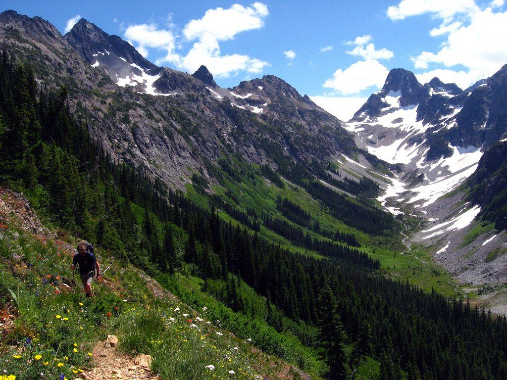 Easy Pass / Fisher Creek Trails