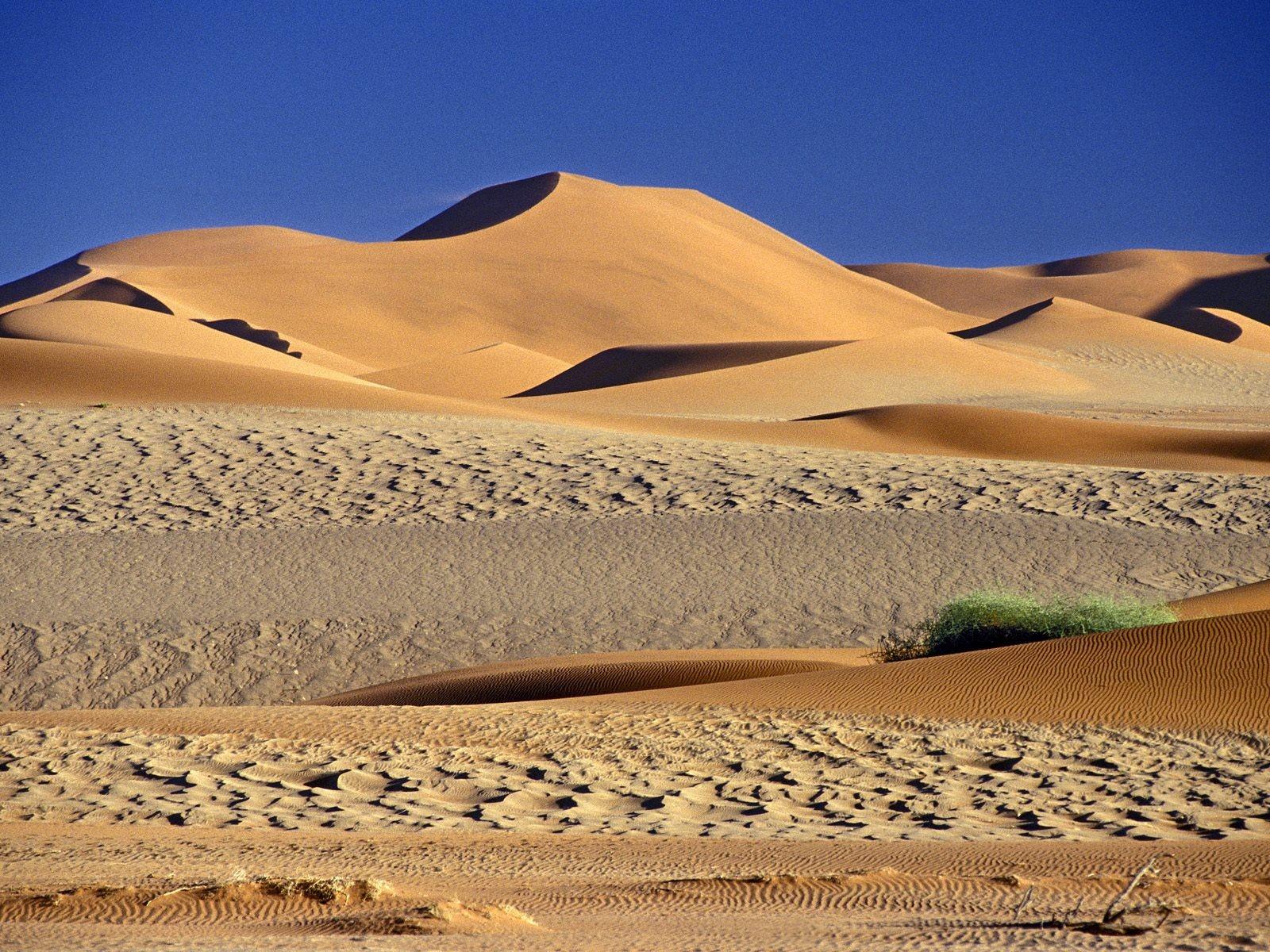 Desert: Untitled Couleurs Sable Sossusvlei Dunes Namibia Deserts