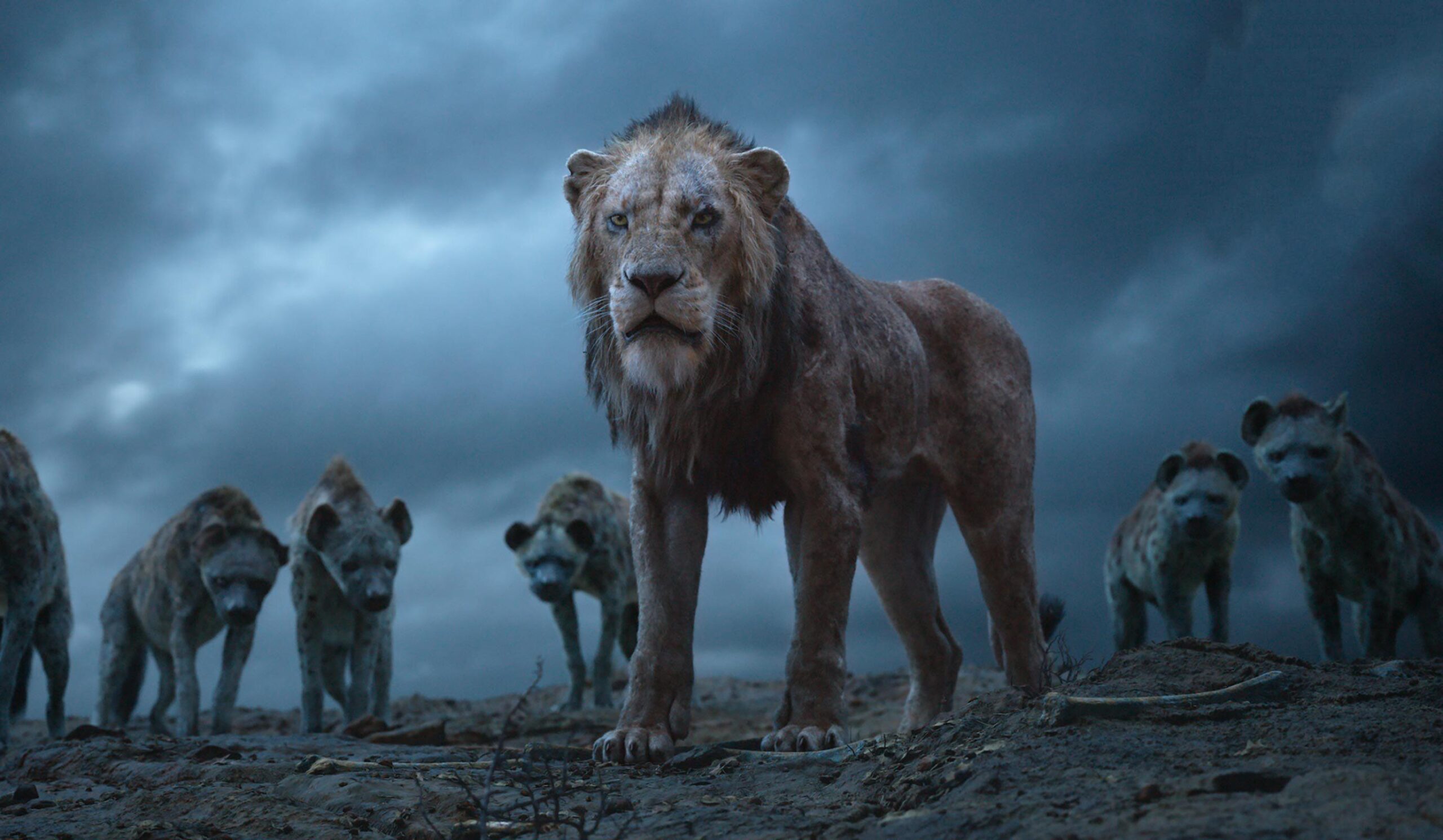 Scar The Lion King 2019, HD Movies, 4k Wallpapers, Image