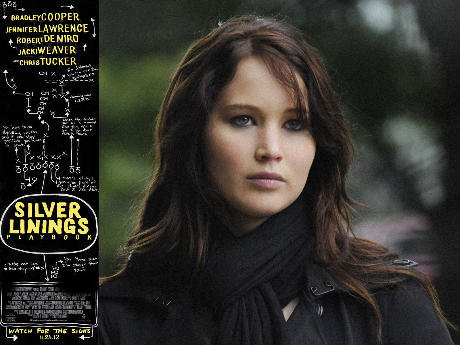 Silver Linings Playbook Wallpapers and Backgrounds Image