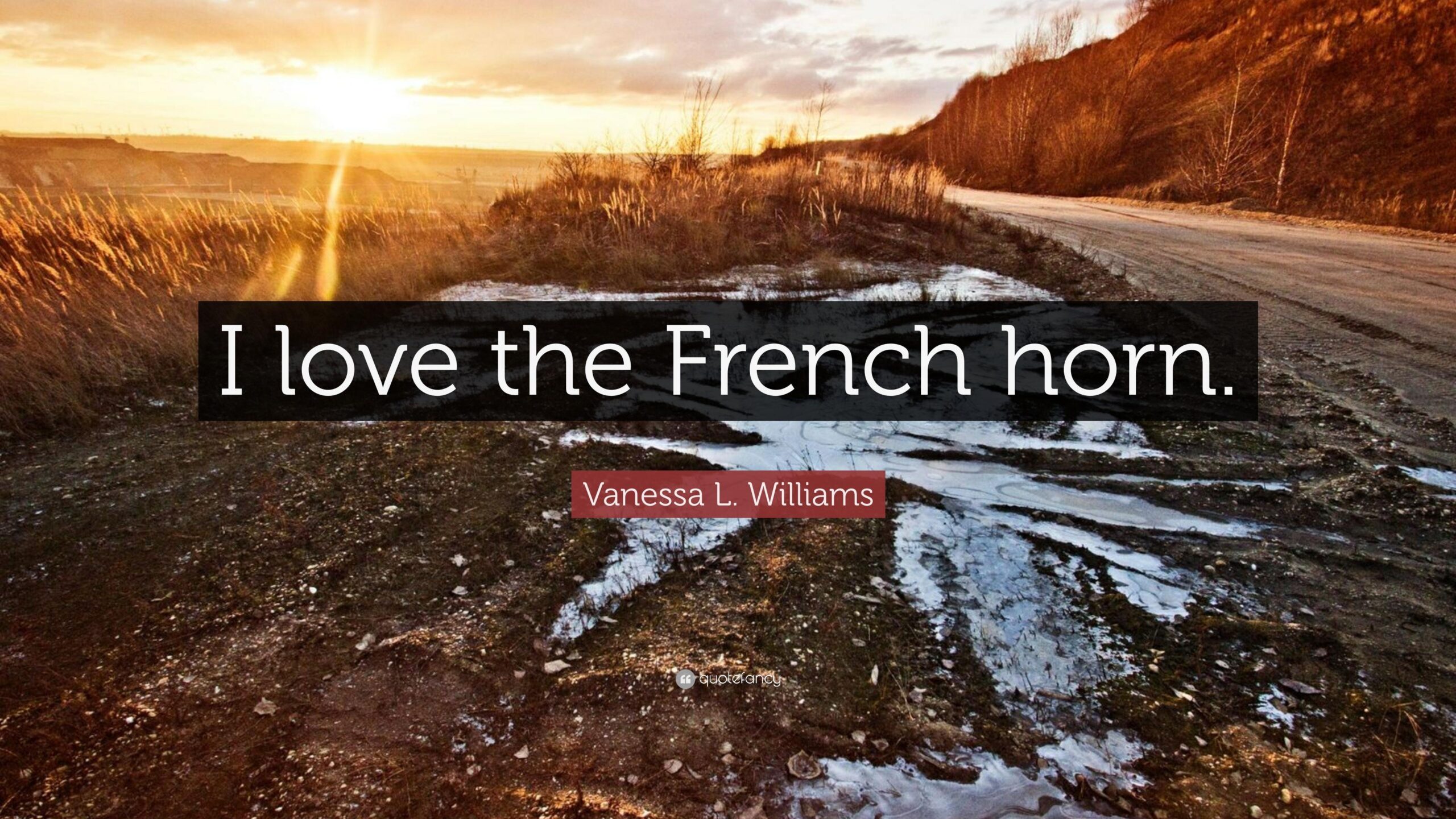 Vanessa L. Williams Quote: “I love the French horn.”