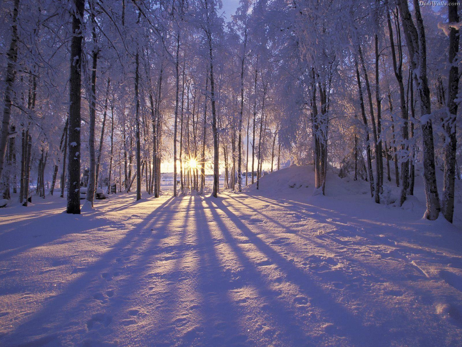 Wondeful Winter wallpapers