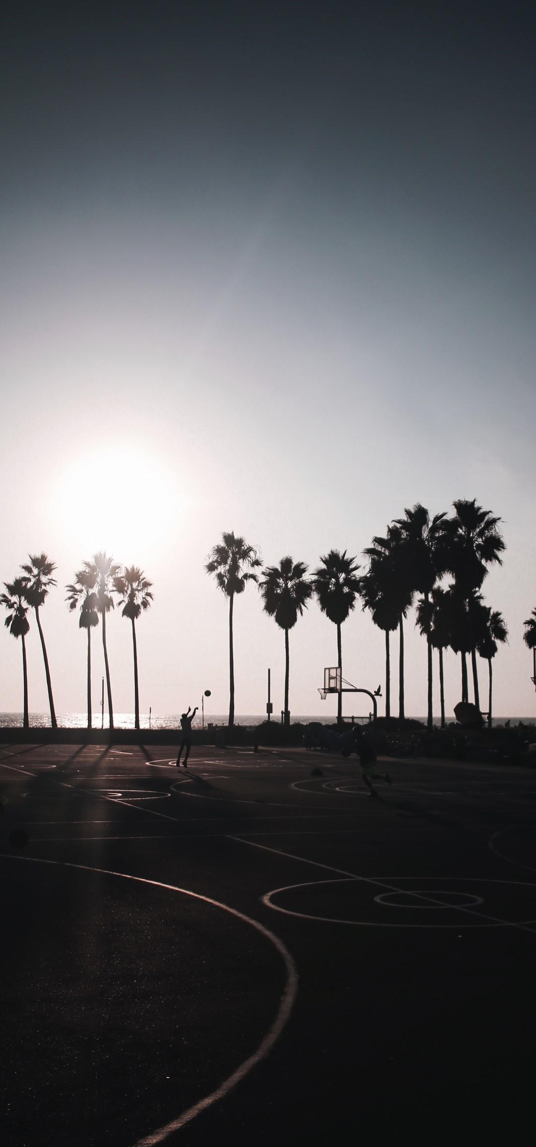 Download Basketball, Palm Trees, Friends, Fun, Clear Sky