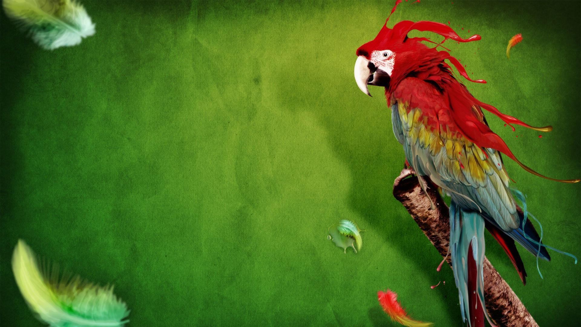 Parrot Wallpapers 3