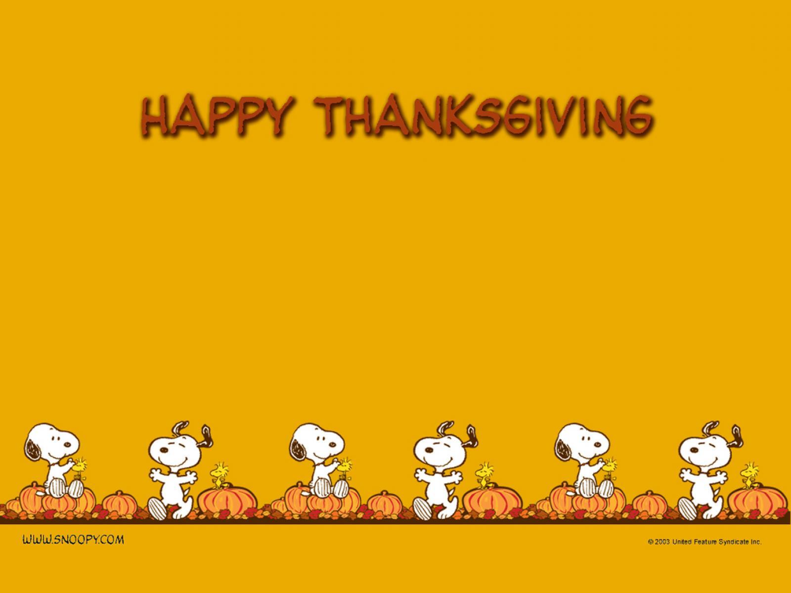 Wallpapers For > Funny Thanksgiving Wallpapers Desktop