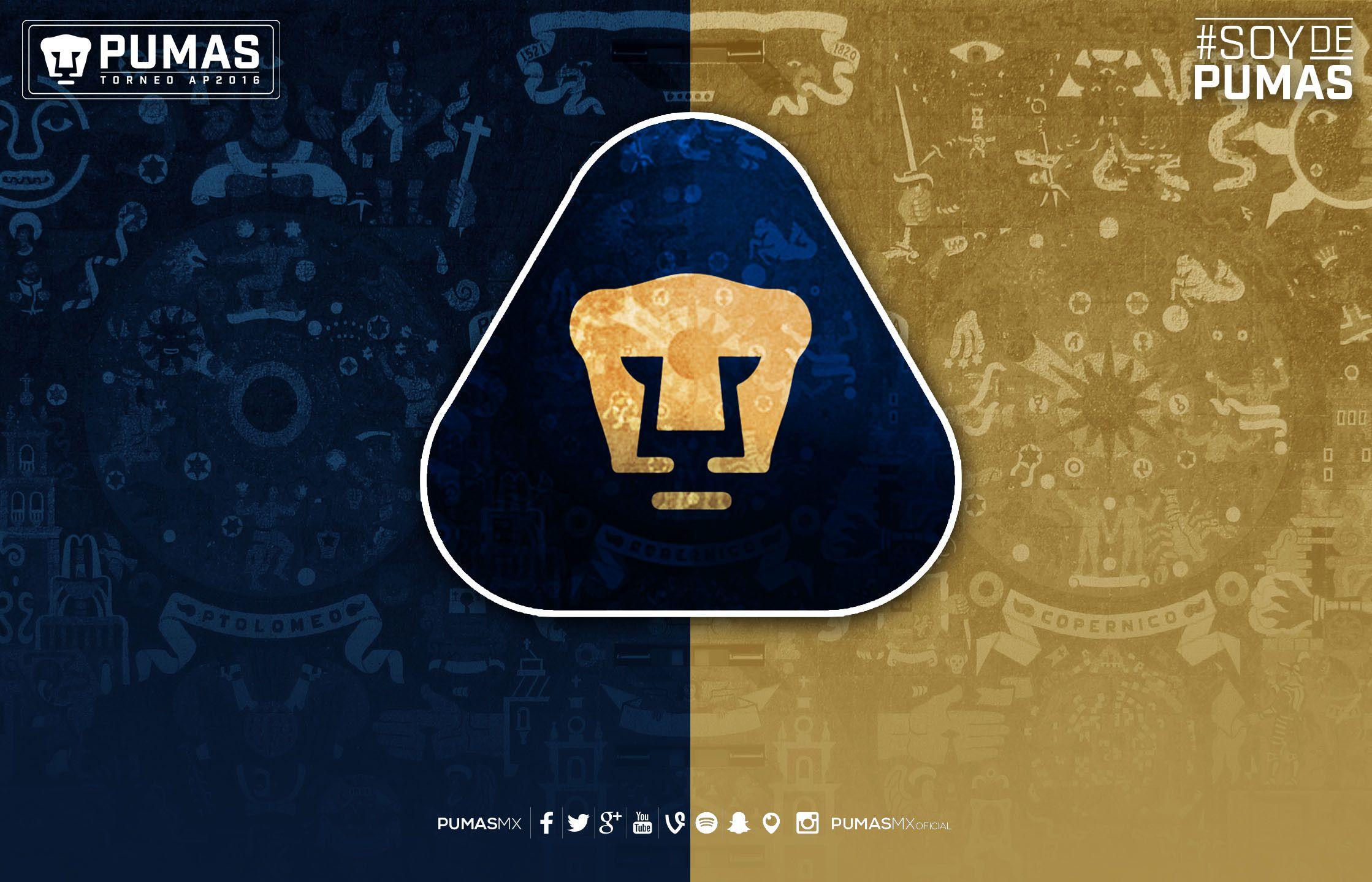 Pumas Unam Wallpapers