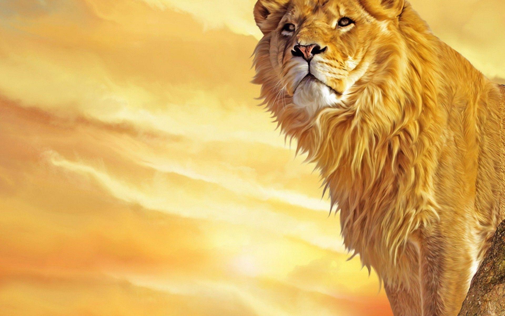 Mac Lion Wallpapers