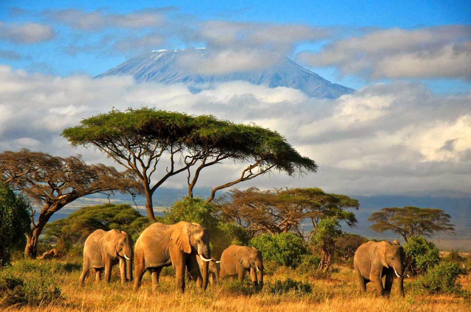 Computer Wallpapers, Desktop Backgrounds Tanzania, 363.18 KB