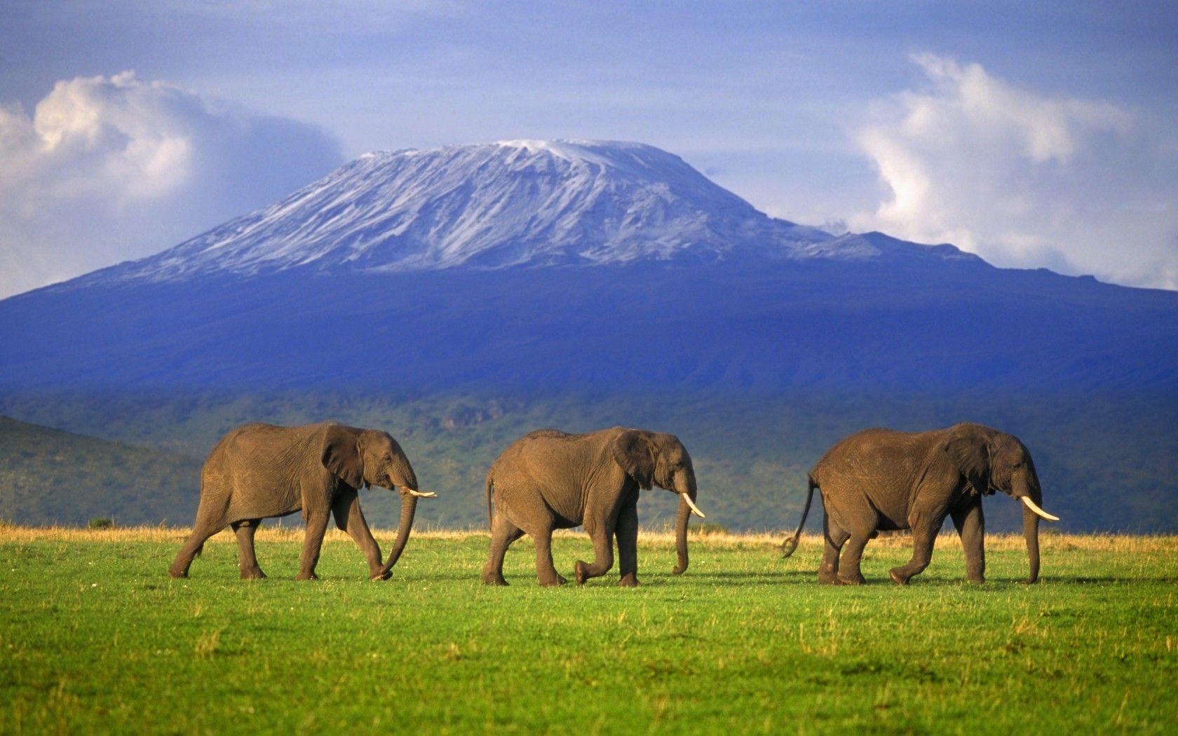 MOUNT KILIMANJARO: my daughter’s goal is to climb this some day