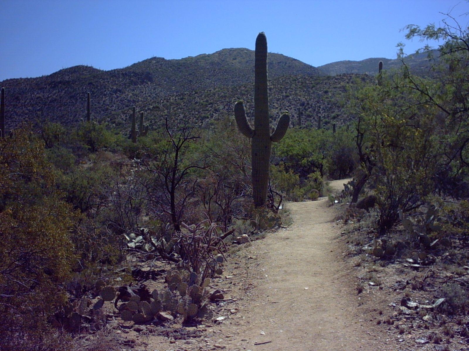 Hikes & Trails at the Park