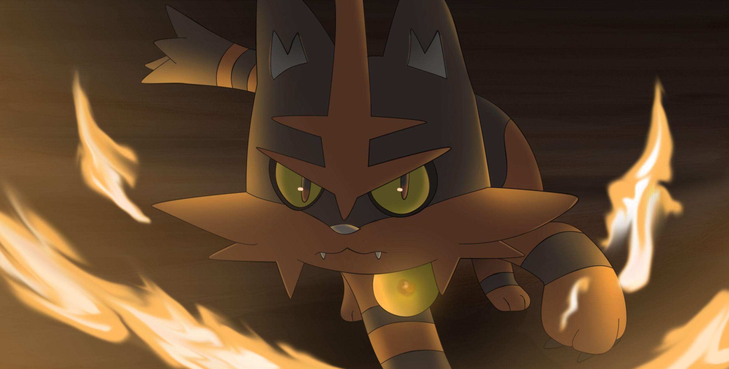 Litten’s evolution Torracat! HD Wallpapers