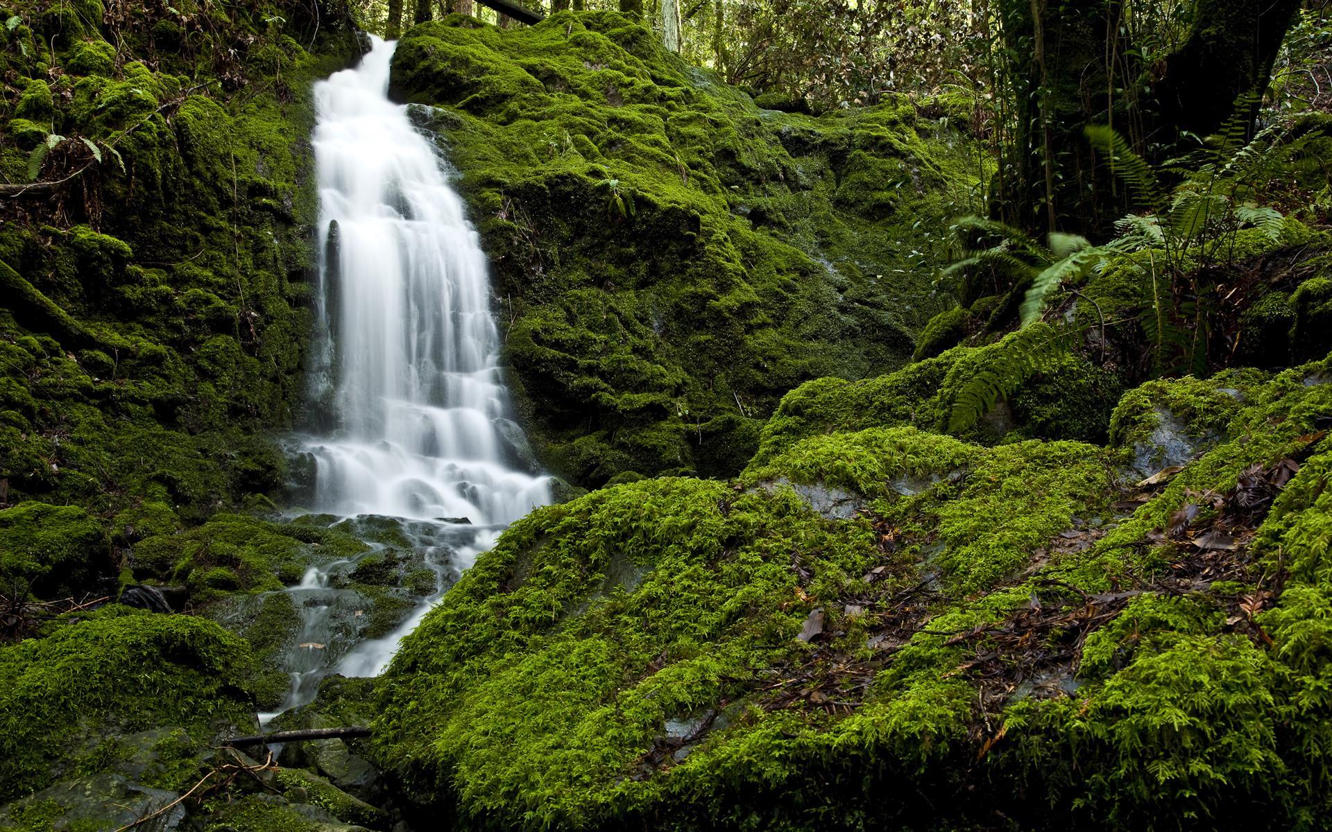 Daily Wallpaper: Angel Falls, Venezuela