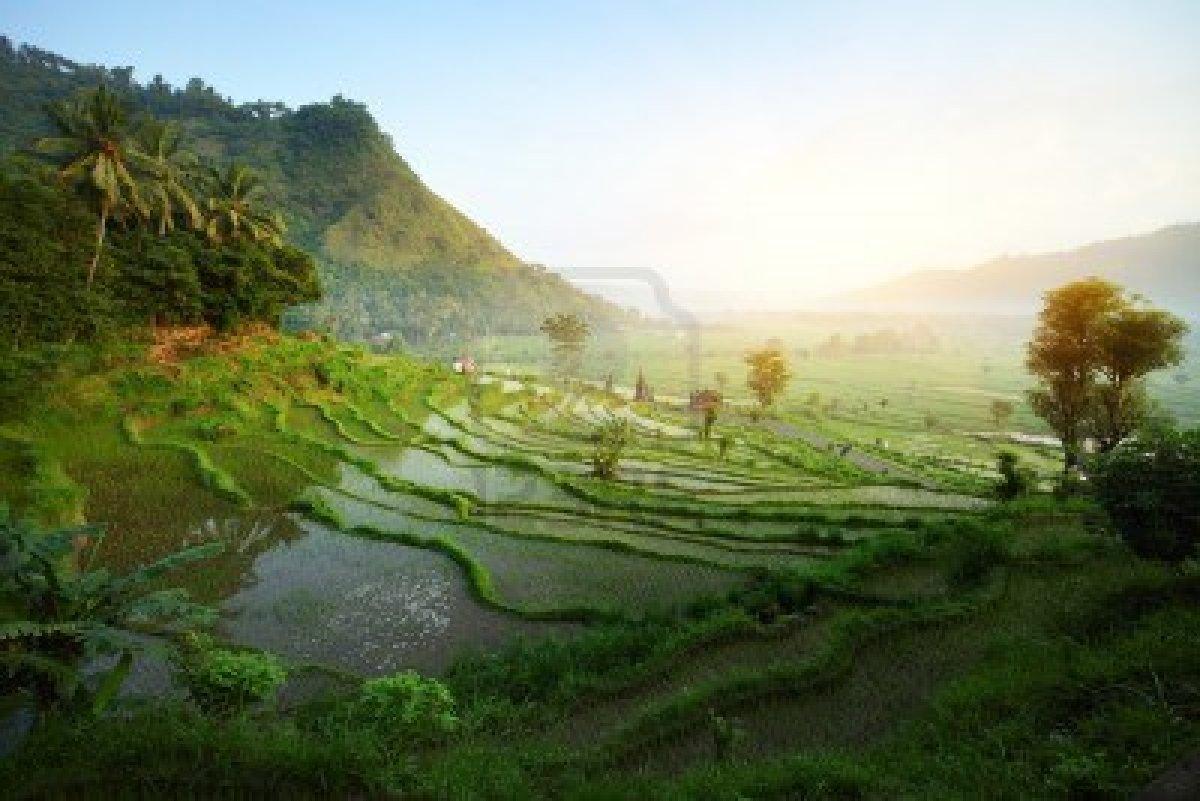 Bali Nature Wallpapers compilation HD ~ Nature Wallpapers