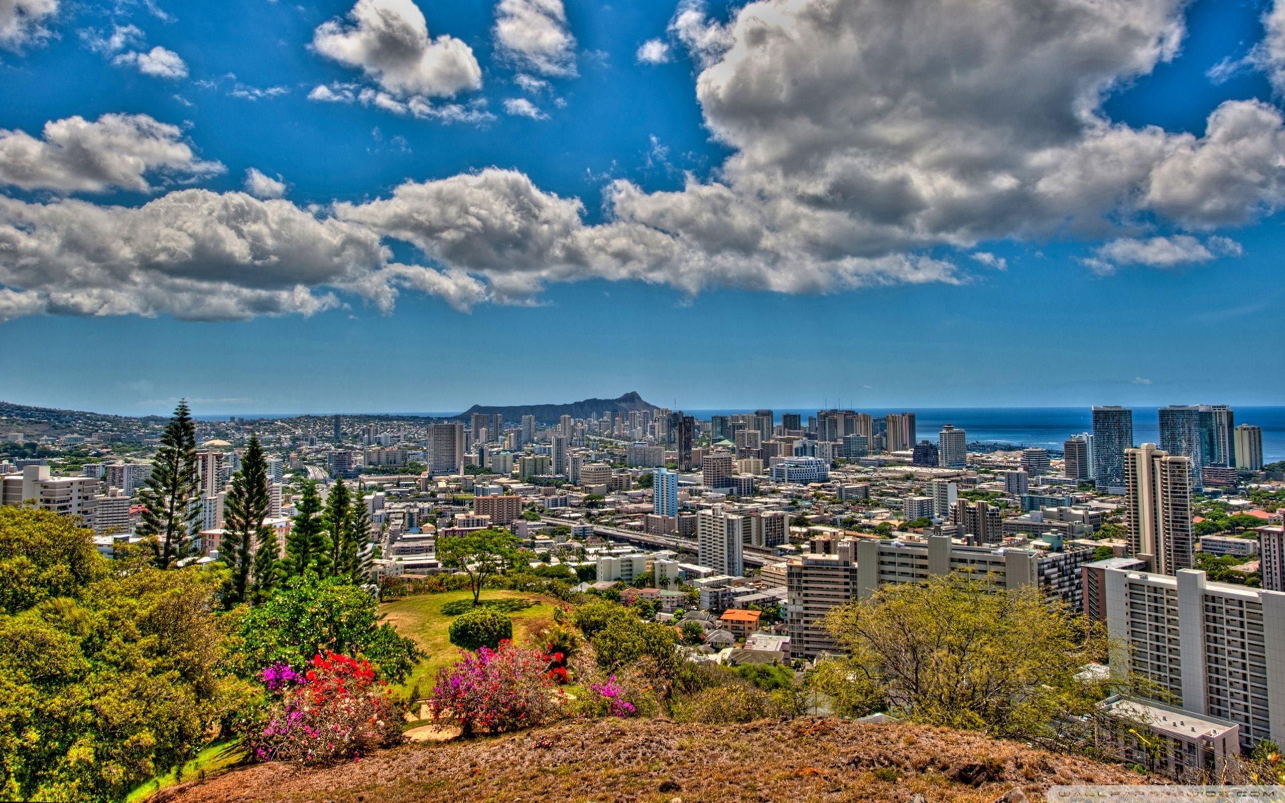 Panoramic View Of Honolulu Hawaii Hdr : Wallpapers13