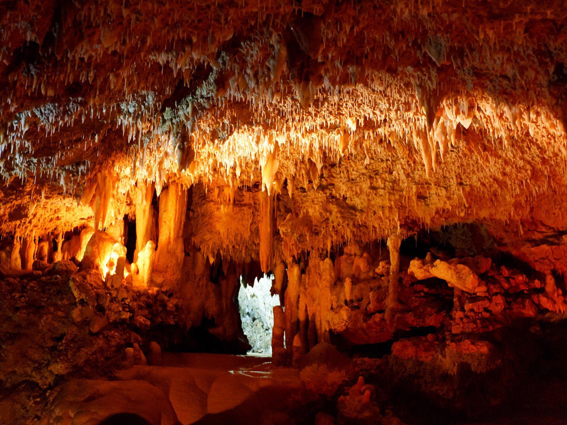 Mammoth Cave National Park