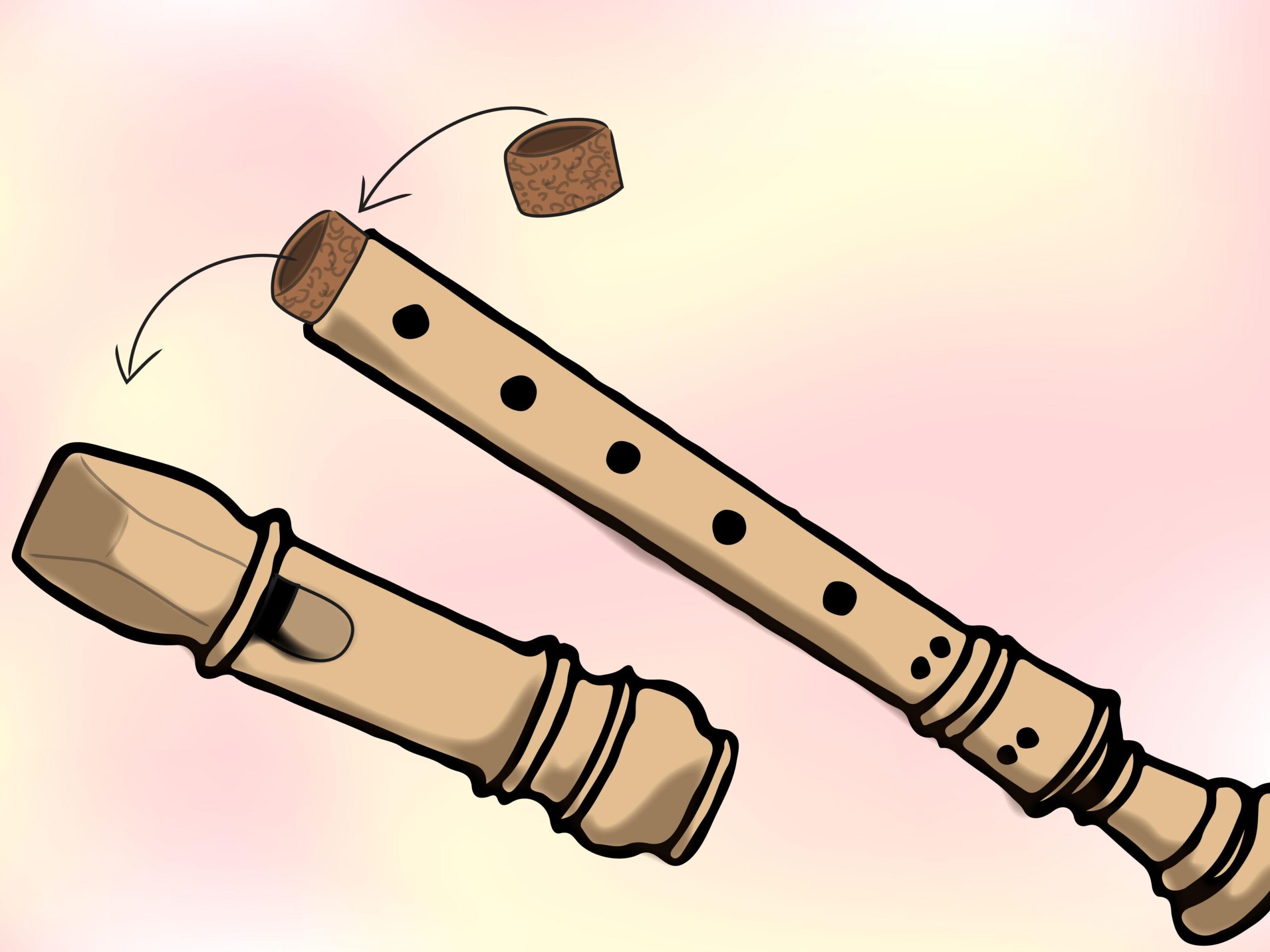 How to Take Care of Your Recorder: 9 Steps