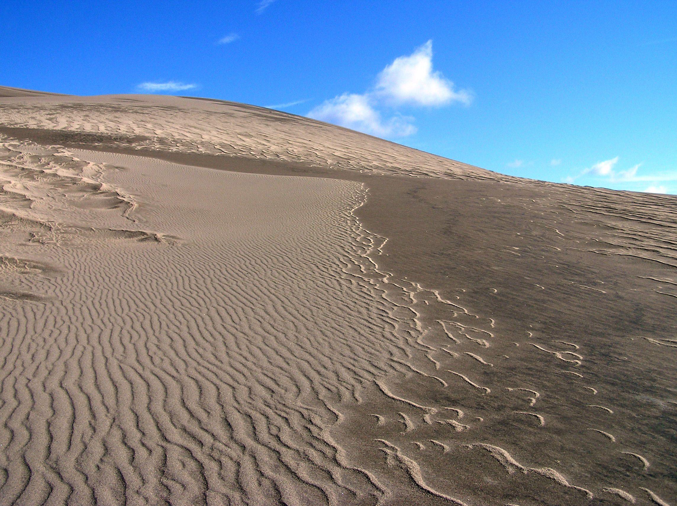 File:Great Sand Dunes National Park and Preserve P1012956