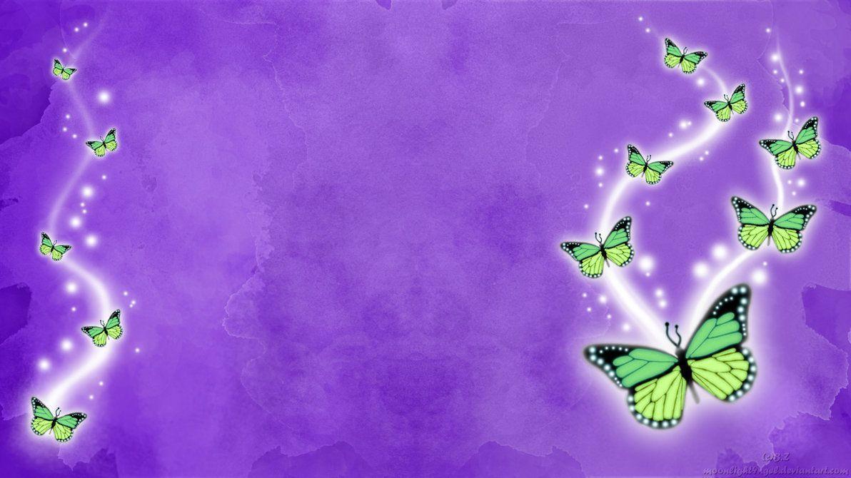 Latest Butterfly HD Wallpapers Download