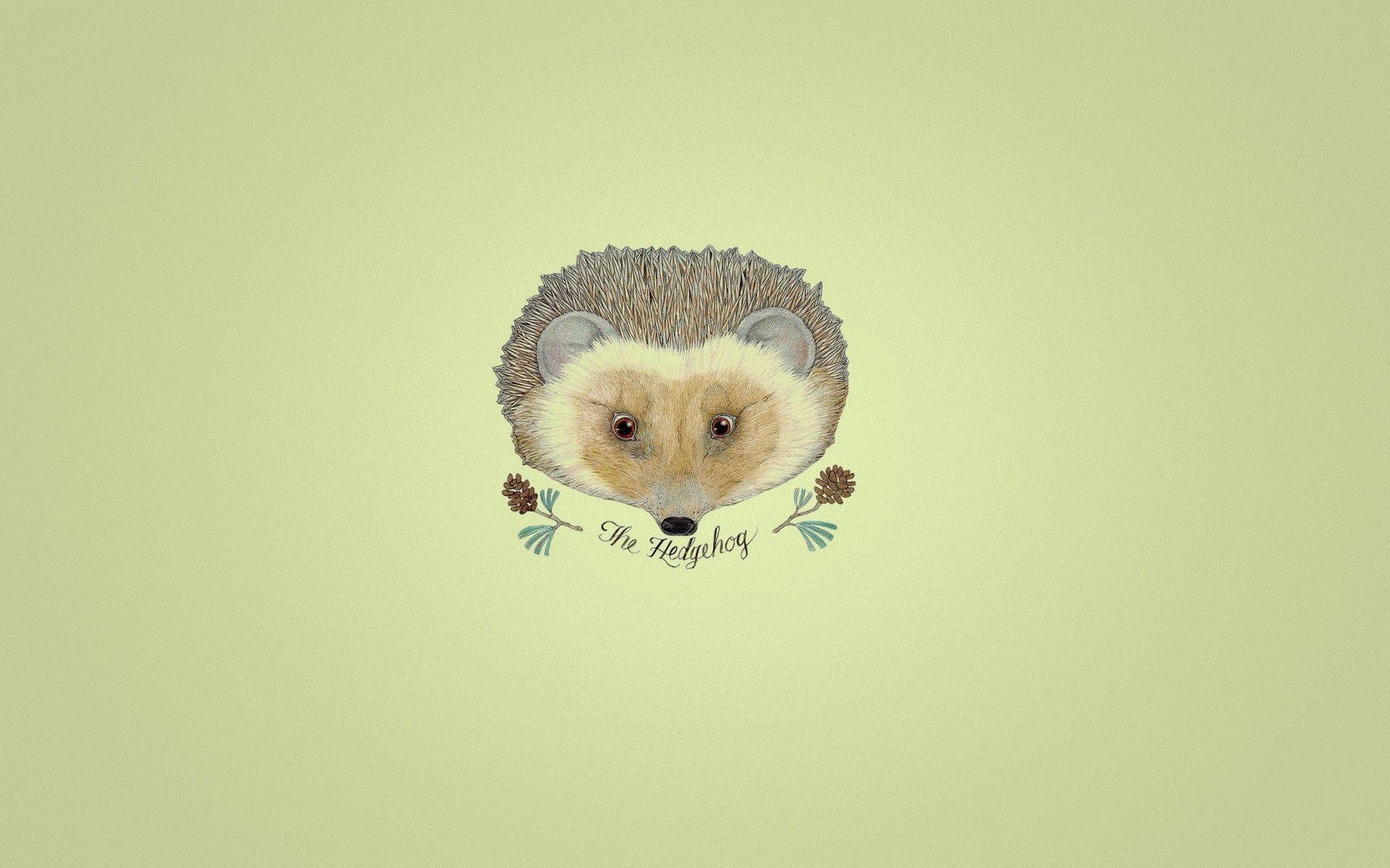 Hedgehog Pictures, Top on REuuN Wallpapers