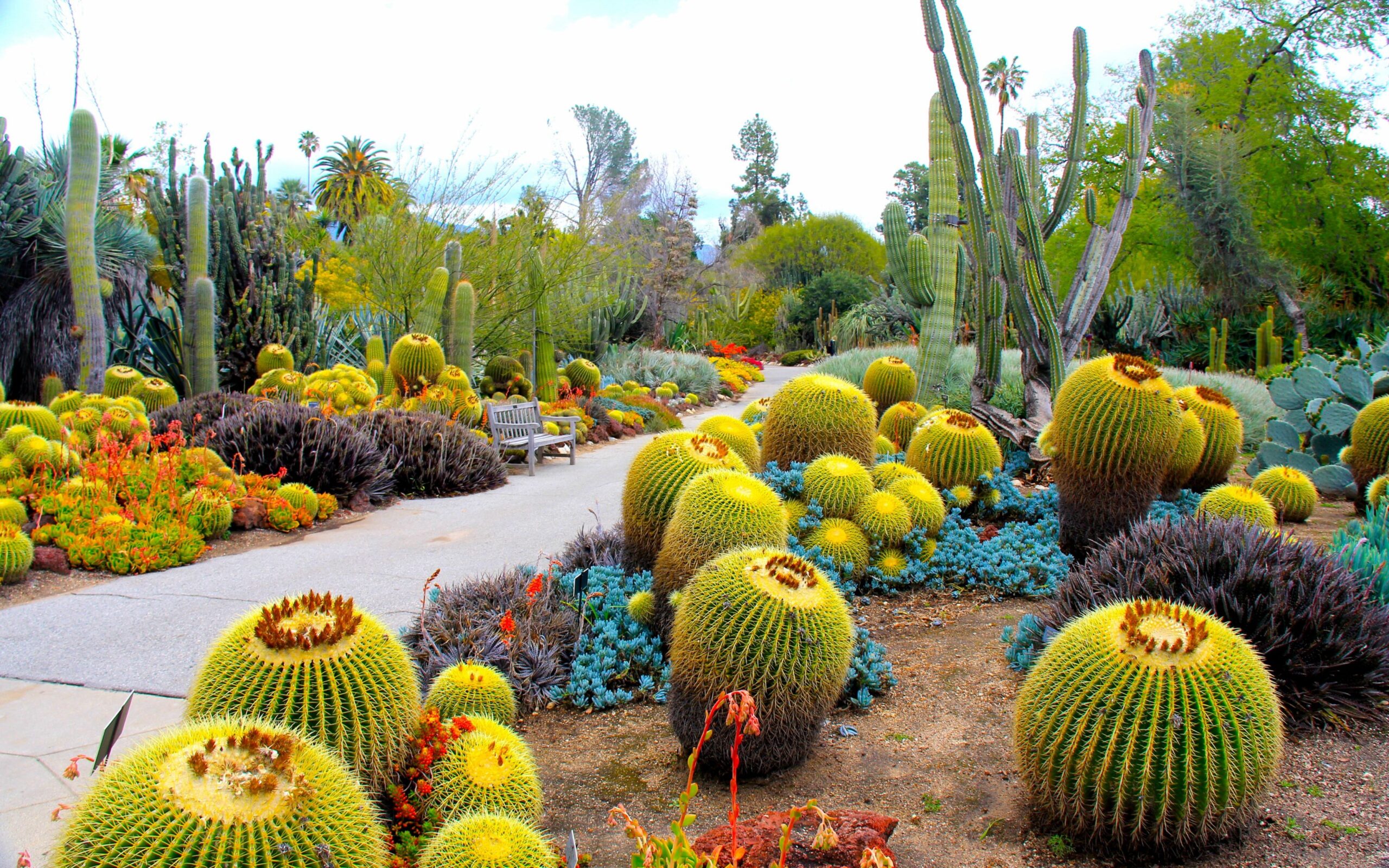 Download Wallpapers Botanical garden, San marino