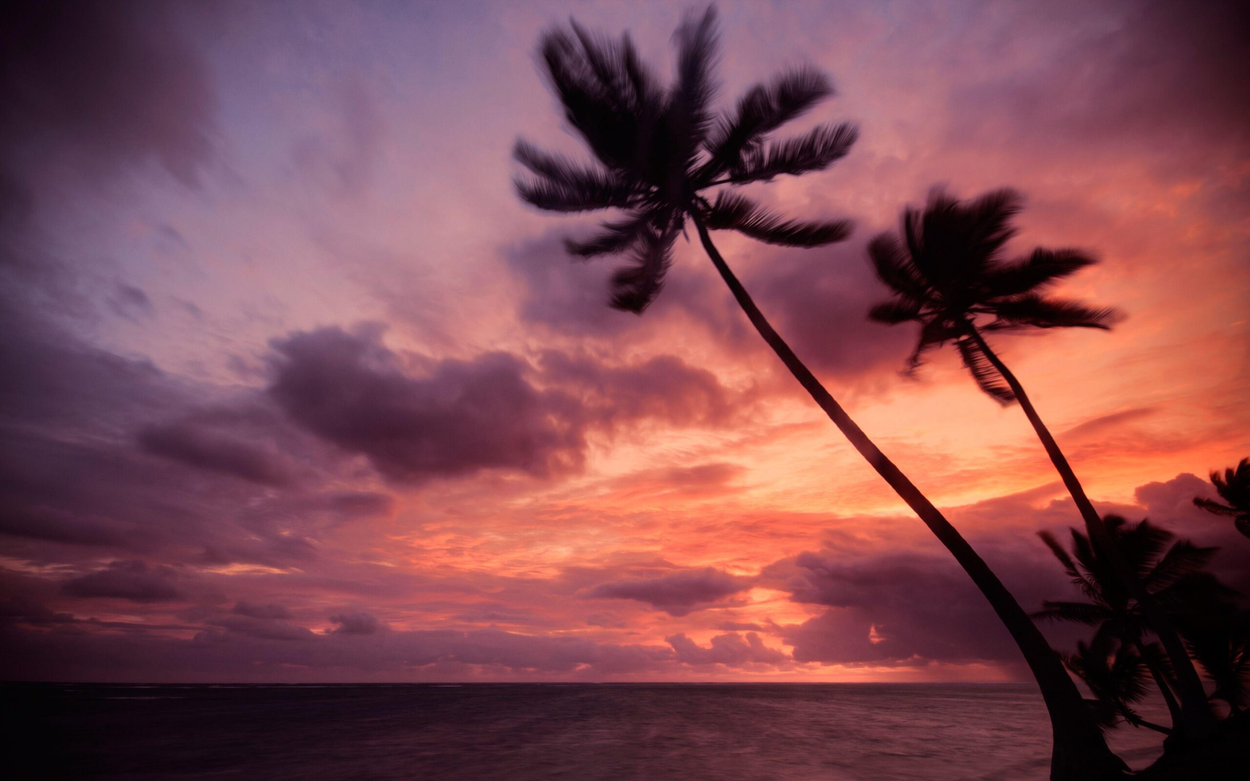 Punta Cana area on the coast of the Dominican Republic wallpapers