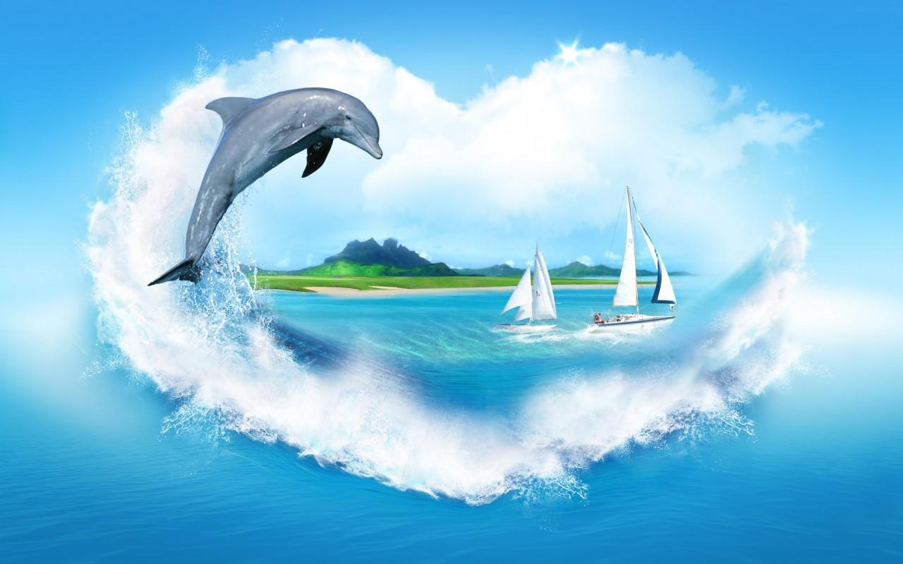 Best 47+ Oceanic Dolphin Wallpapers on HipWallpapers