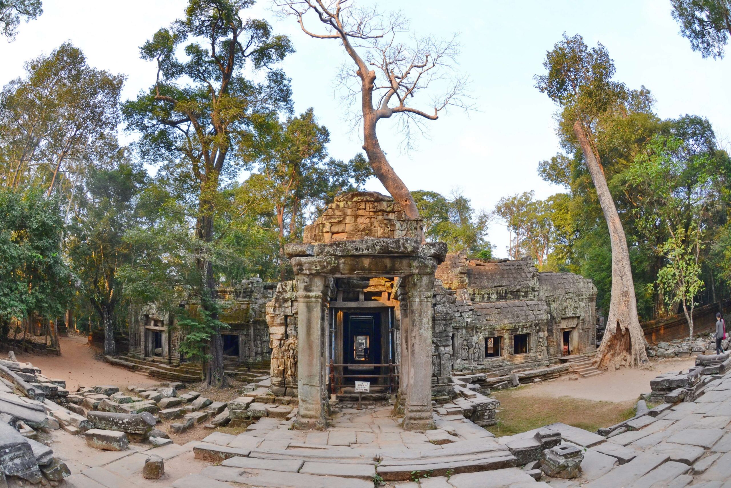 angkor, cambodia, khmer empire, siem reap, ta prohm, temple 4k