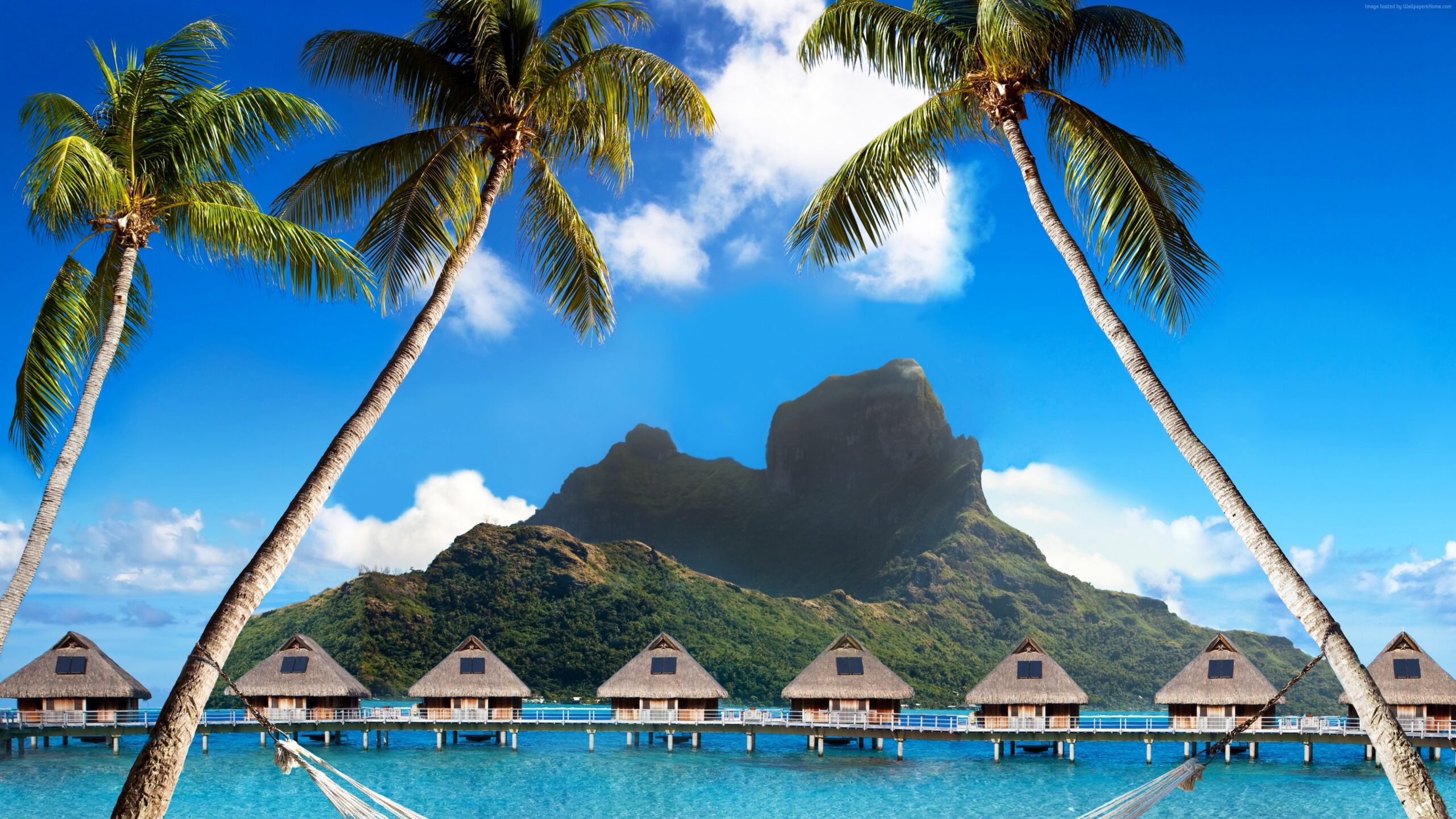 Wallpapers Bora Bora, 5k, 4k wallpaper, French Polynesia, Best